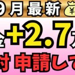 【2025年最新】毎月年金＋27,000円増額術！シニア世代が知らない5つの隠れ給付金