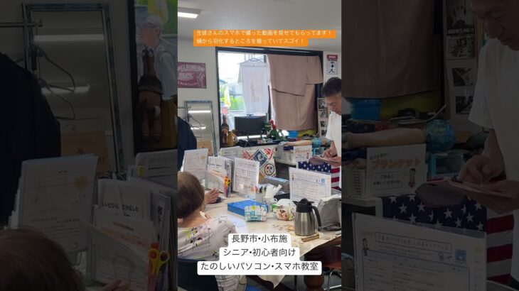 2025年8月5日