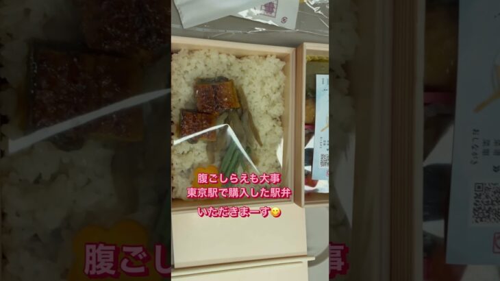 シニア女子　東北の旅〜青森ねぷた祭り編〜　シニア女子2人で東北の旅に行きました。1日目は青森ねぷた祭りです。#60歳代 #シニアライフ #主婦 #旅行 #東北 #祭り #ねぶた祭り