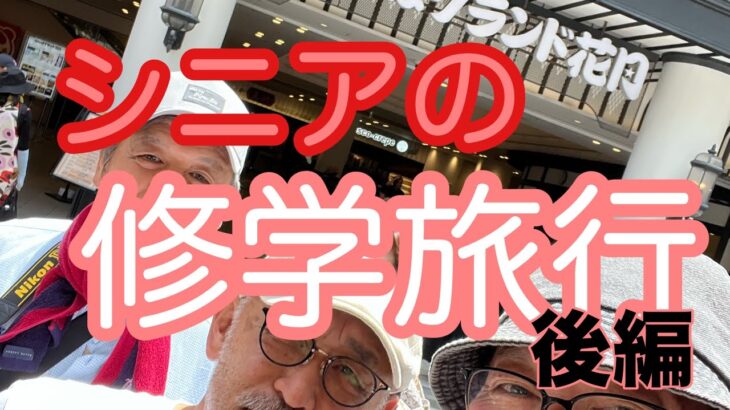 シニアの修学旅行 後編 おでの時間317