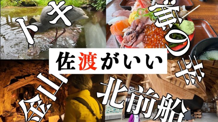 【シニア夫婦の車旅】新潟群馬編＃4   ぶりカツ丼も　佐渡を満喫
