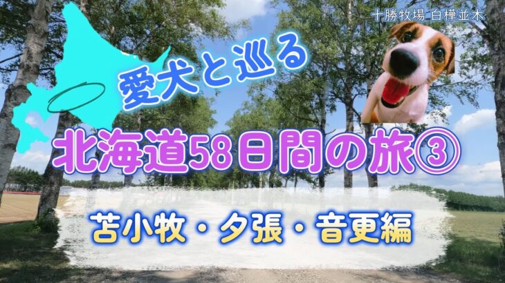 シニア夫婦のセカンドライフ【健康×車中泊・キャンプ旅】　愛犬と巡る北海道58日間の旅③