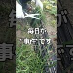 【年金暮らしの現実】待ったなし！突然の出費…いくらかかった！？ー父ひろしのつぶやきー ＜ #シニアライフ #老後 #60代 #定年退職 ＞