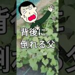 【老後不安】未来への不安が増す60代父、年金暮らしのリアル 《 シニアライフ つぶやき 日常 生活 》
