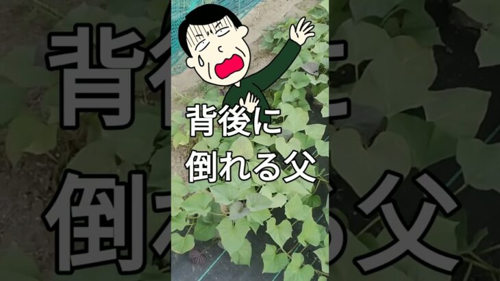 【老後不安】未来への不安が増す60代父、年金暮らしのリアル 《 シニアライフ つぶやき 日常 生活 》