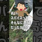 【年金貧乏】60代父のつぶやき。限界まであと少し…年金暮らしのリアル 《 シニアライフ 定年退職 年金不安 生活 老後の暮らし 》