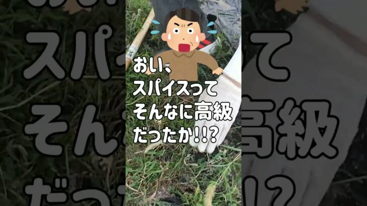 【年金貧乏】60代父のつぶやき。限界まであと少し…年金暮らしのリアル 《 シニアライフ 定年退職 年金不安 生活 老後の暮らし 》