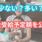 60歳で年金をもらう場合の受給額を公開/磁性鍋/夫婦の晩御飯