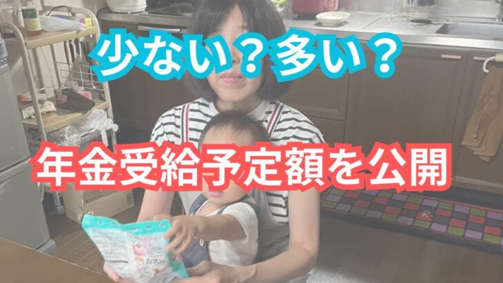 60歳で年金をもらう場合の受給額を公開/磁性鍋/夫婦の晩御飯