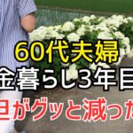 【60代夫婦シニアライフ】税金も社会保険料も安くなった！年金暮らし3年目の変化