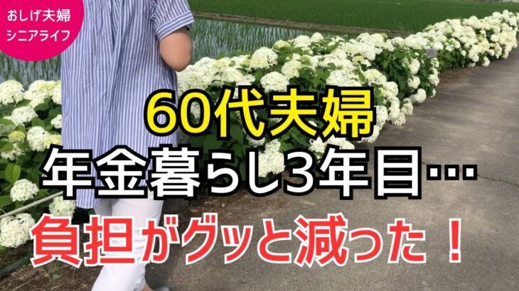 【60代夫婦シニアライフ】税金も社会保険料も安くなった！年金暮らし3年目の変化
