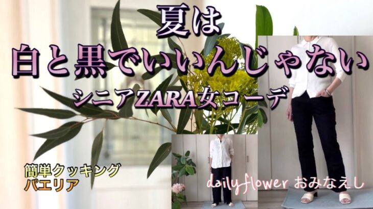 【60代70代ファッション】13 見た目も涼しい白黒ファッション、パンツを変えてコーデしてみました。失敗コーデもありのままです。
