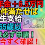 【必ず申請して！】年金に6万円が一生上乗せ！生涯の合計143万円になる神制度！年金生活者支援給付金について解説！【給付金申請方法支給金額】