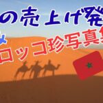 【66歳シニアでも出来た】今月もありがとう❣️年金＋メルカリやってて良かった🩷クセ強いモロッコ