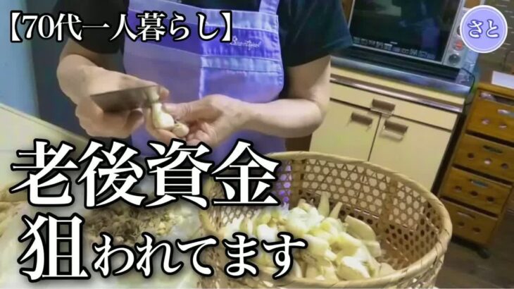 【70代一人暮らし】嫁に内緒で年金を無心する息子【シニアライフ】