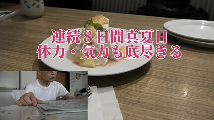 連続8日間真夏日 体力・気力も底尽きる【年金シニアの現実】