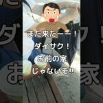 【8月の電気代公開】60代父ヒロシ年金暮らしの記録 《節電どころか怒りの一言》  ＜ #シニアライフ #節電 #老後 #定年退職 ＞