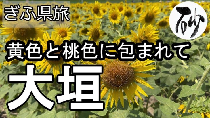 【ナイスなシニアのぎふ県旅＠大垣#9】岐阜県大垣市（2025年08月19日）