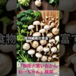 松阪市 シニア向けスマホ活用教室 クイズで健康知識も身につく 毎日が楽しくなる 疲労回復 ビタミンB #shorts