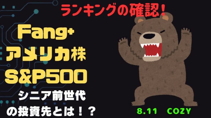 【Fang+アメリカ株・S&P500・新NISA】シニア前世代ランキング！変化はある？暴騰or暴落？8.11