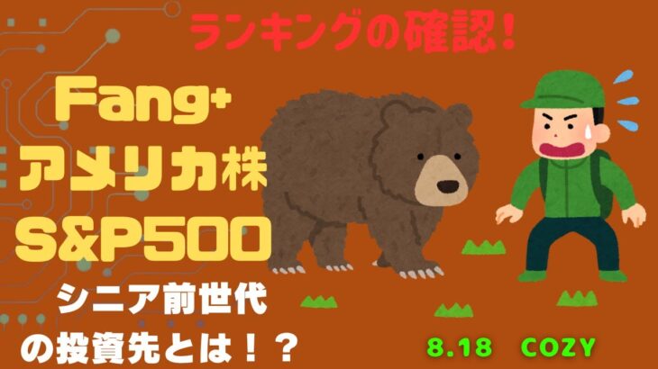 【Fang+アメリカ株・S&P500・新NISA】シニア前世代ランキング！変化はある？暴騰or暴落？8.18