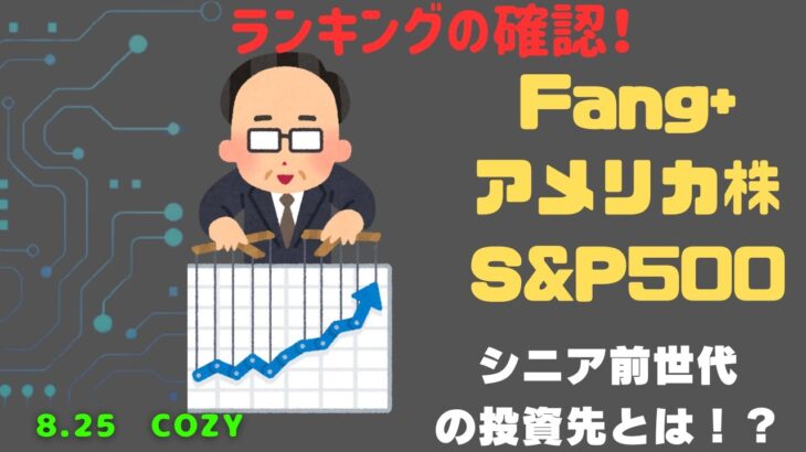 【Fang+アメリカ株・S&P500・新NISA】シニア前世代ランキング！変化はある？暴騰or暴落？8.25
