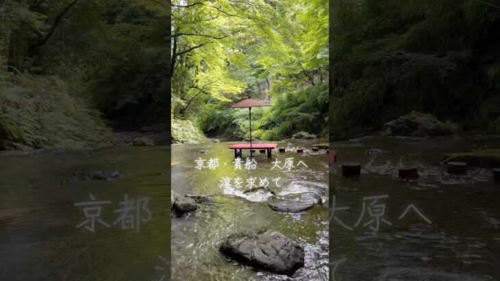 京都・貴船神社と大原三千院をめぐる日帰りバスツアー。涼やかな川床料理や青もみじ、パワースポットでの参拝。小さな夢が叶った幸な一日でした#京都旅行 #シニアVlog #日帰り旅 #貴船神社 #大原