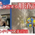 【愛犬と一緒に一泊旅行】シニアVlog　那須ステンドグラス美術館　年金生活　初めての犬連れ旅行は大成功