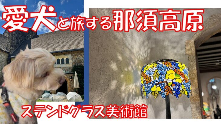 【愛犬と一緒に一泊旅行】シニアVlog　那須ステンドグラス美術館　年金生活　初めての犬連れ旅行は大成功