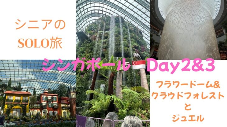 シニアのsolo旅　シンガポールDay2&3
