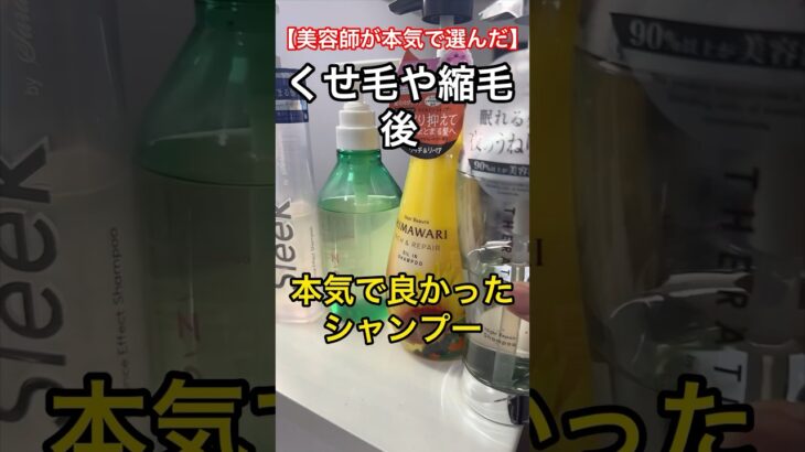 美容師が本気で選んだくせ毛や縮毛後に良かったプチプラシャンプー紹介しよう