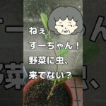 【老後】シニアの生き方にもいろいろあるようです～今日も巻き込まれてます～ ＜#年金暮らし #老後不安 #シニアライフ ＞