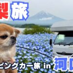 【日本一周山梨編】旅はいよいよ山梨突入！シニア夫婦とチワワが車中泊旅