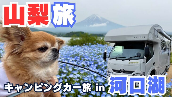 【日本一周山梨編】旅はいよいよ山梨突入！シニア夫婦とチワワが車中泊旅