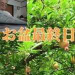 お盆最終日【年金シニアの現実】