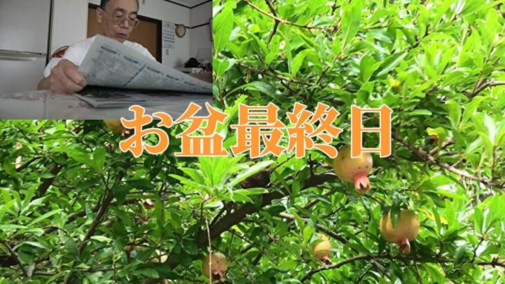 お盆最終日【年金シニアの現実】