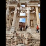 トルコ🇹🇷エフェソス遺跡と猫　#ショート #トルコ#シニアライフ #遺跡