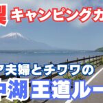 【山中湖は自転車が最高！】シニア夫婦とチワワの楽しい山中湖の巡り方