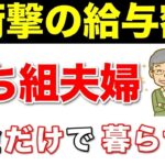 【老後年金】年金だけ暮らせる！？勝ち組夫婦の高笑い！現役時代の衝撃の給与額はいくら？【老齢基礎年金・老齢厚生年金】