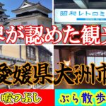 昔の日本にふれる旅！【定年シニアライフ・物見遊山】
