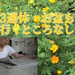 【年金シニアの現実】３連休・お盆も行くところなし