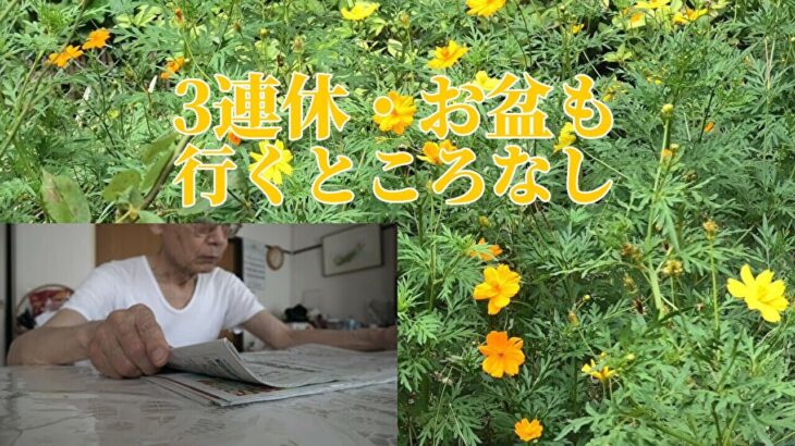 【年金シニアの現実】３連休・お盆も行くところなし