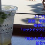 シニアの旅　原宿　「明治神宮」から、南青山　「ヨツクモツクミュージアム」と「岡本太郎記念館」を訪ねて