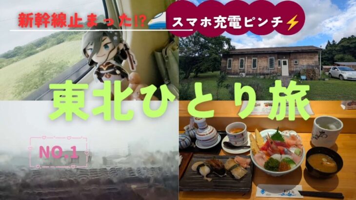 【東北ひとり旅vlog1】大雨で新幹線ストップ!? 気仙沼への波乱の旅🚄💦«LASA Vlog#135»シニアライフ