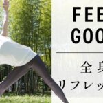 【毎日10分】マットなしで初心者でもできるヨガ　運動不足解消にオススメ！ #550
