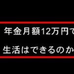 年金生活者のシニアライフ／年金月額12万円で生活はできるのか?／実際の生活を公開します。