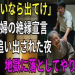 「年金も出せないなら出て行け」  息子夫婦の追放宣言  しかし母が仕掛けた意外な一手で  数日後、2人は青ざめた【シニアライフ】