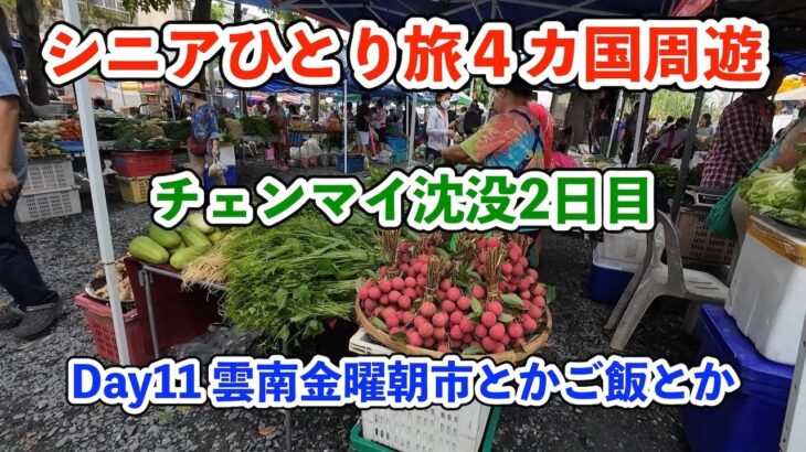 【シニア一人旅2025夏編】チェンマイ沈没２日目 雲南金曜朝市とかご飯とか 20250704