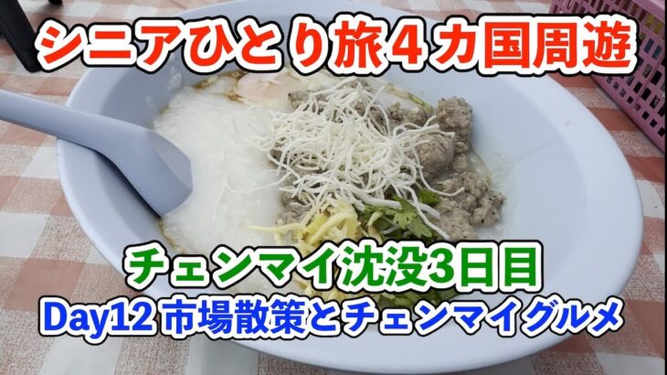 【シニア一人旅2025夏編】ワロロット市場散策とチェンマイグルメ チェンマイ沈没３日目 20250705