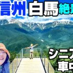 【夏の信州白馬】絶景テラスで感動体験！シニア夫婦の車中泊旅｜白馬岩岳マウンテンリゾート｜白馬マウンテンハーバー｜シティベーカリー｜展望デッキ｜長野避暑旅2025
